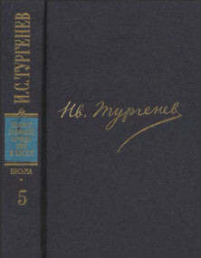 ПССиП в 30-ти томах. Письма. Том  5. 1862—1864